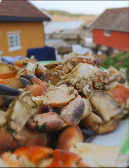 Lunvig - A Cosy In Idyllic Small Island Near Kristiansand, Sogne * Kristiansand